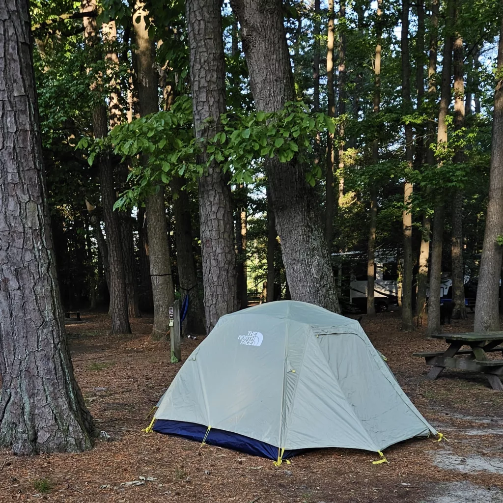 Campsite A24 at Trap Pond State Park Campground
