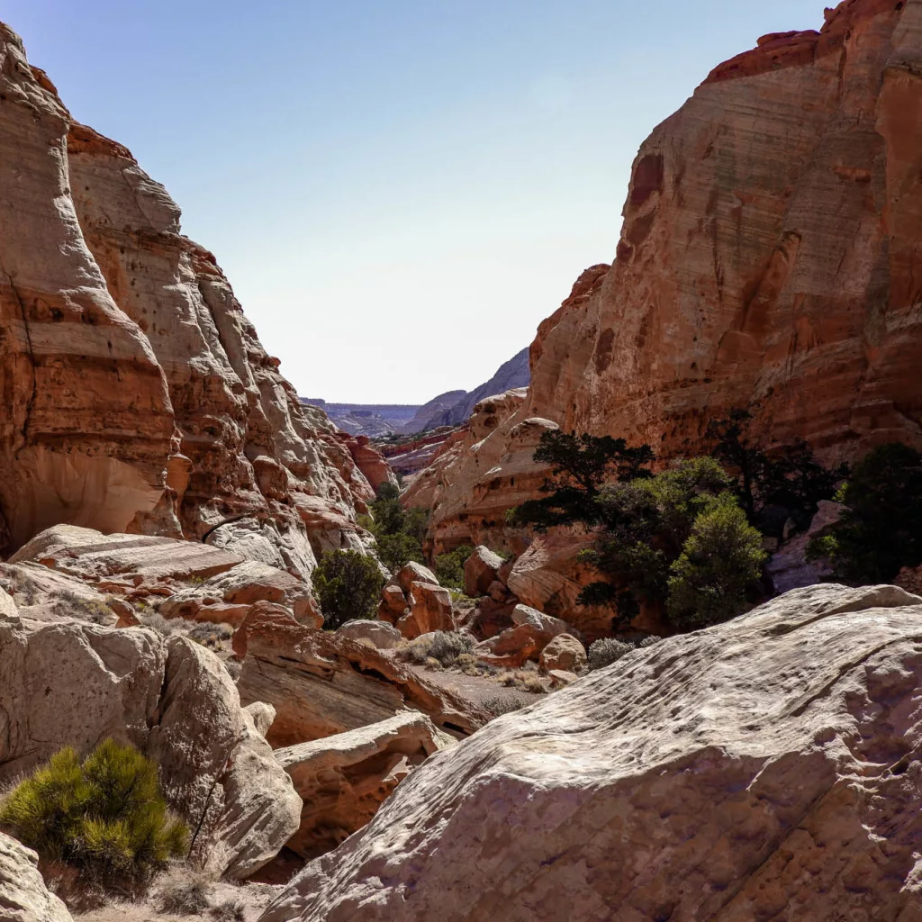 cohab canyon capitol reef