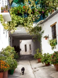 Las Alpujarras, the White Villages of Andalusia