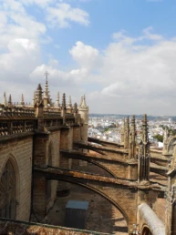 Seville Cathedral Rooftop Tour: The City's Best-Kept Secret