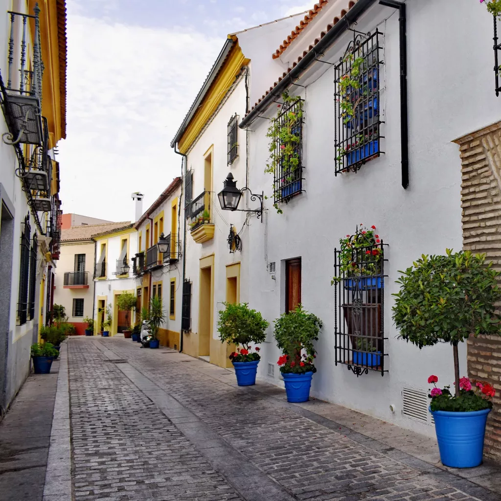 One Day in Cordoba : Day trip from Seville