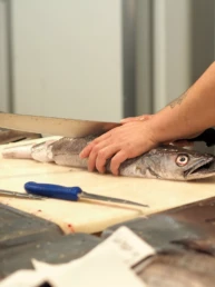 Cádiz Fish Market : Andalusia's Mecca for Seafood Lovers