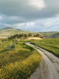 The Ruins of Acinipo : A Roman Village Near Ronda