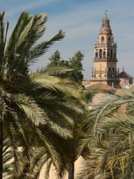 Inside the Mezquita of Cordoba