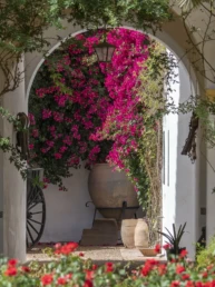 Best Time to See the Orange Blossoms of Seville southern spain