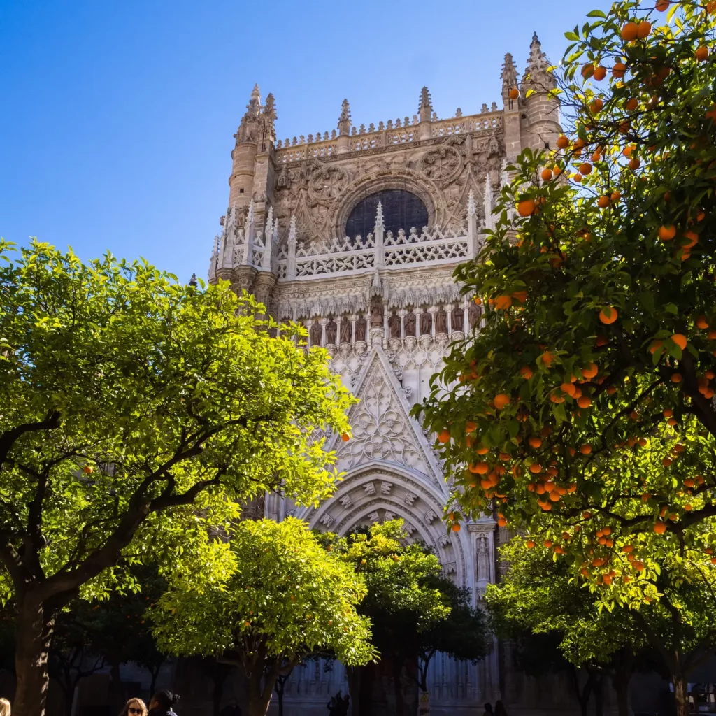 Seville Cathedral Rooftop Tour: The City's Best-Kept Secret Seville Cathedral Rooftop Tour