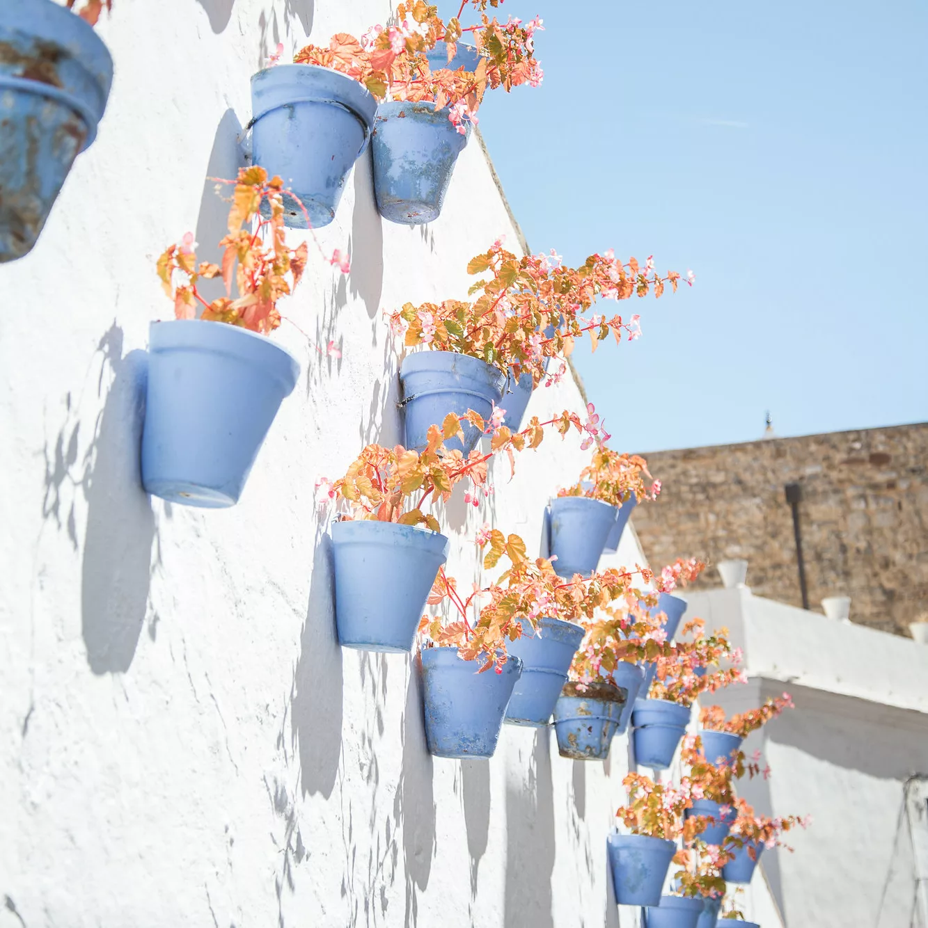 Marbella Old Town Tour with a Local, flower pots in the old town