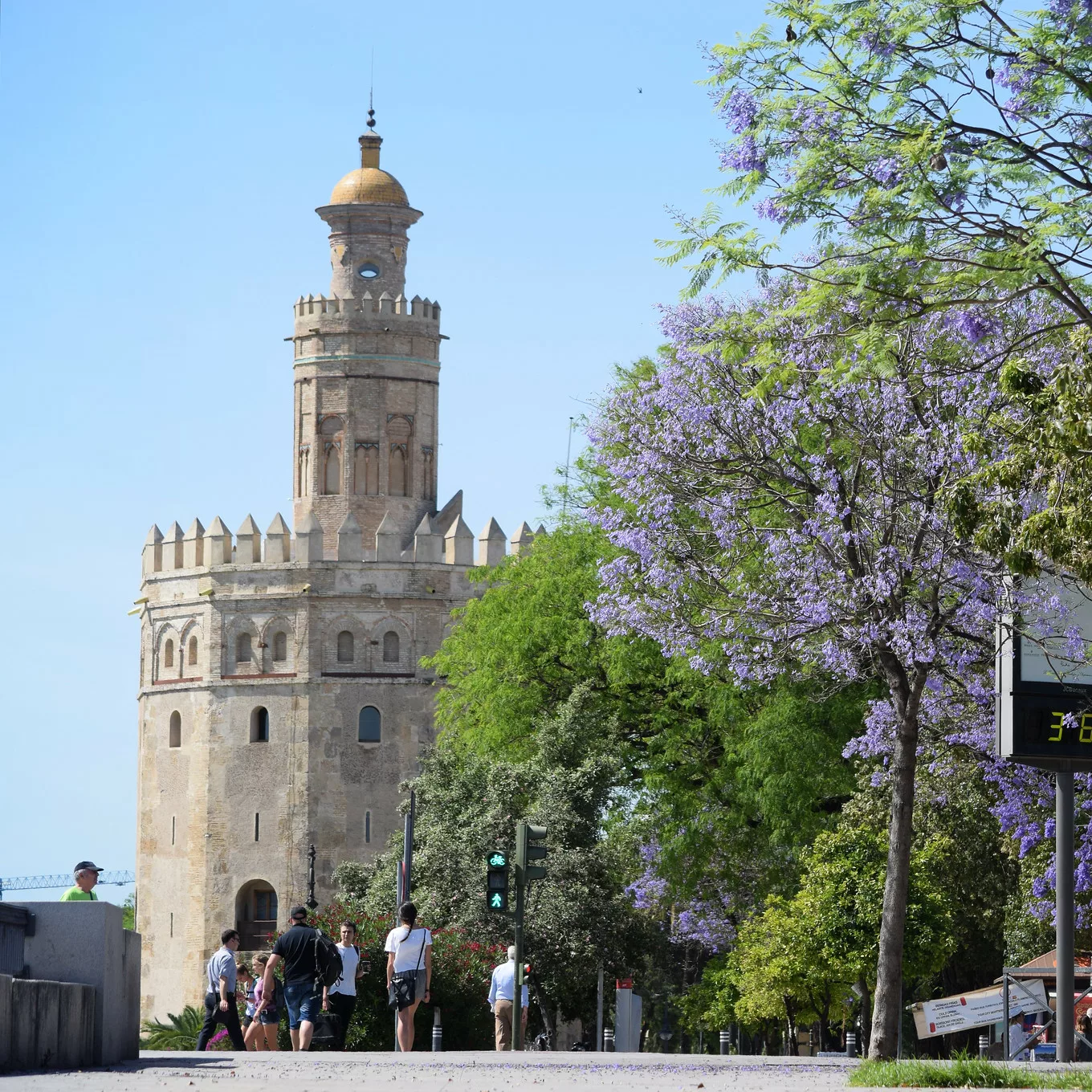 Marbella to Seville Day Trip, Torre del Oro
