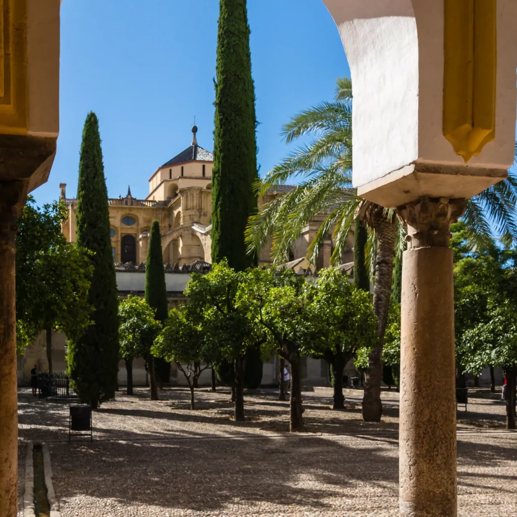 Patio de los Naranjos