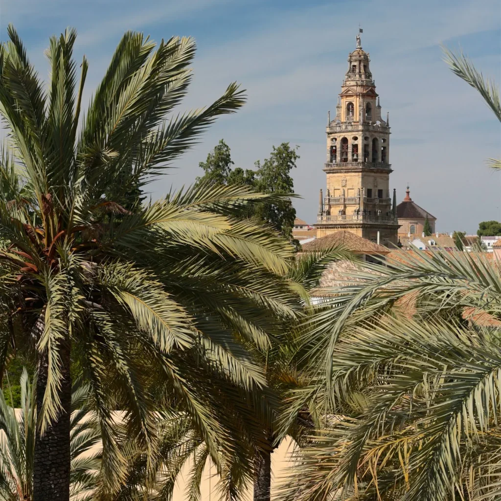 bell tower with palm trees