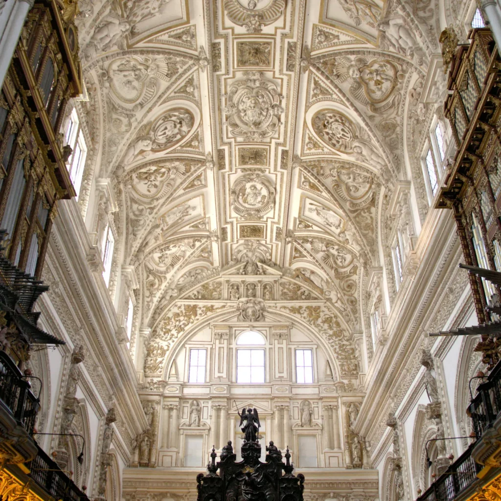 ceiling of the cathedral