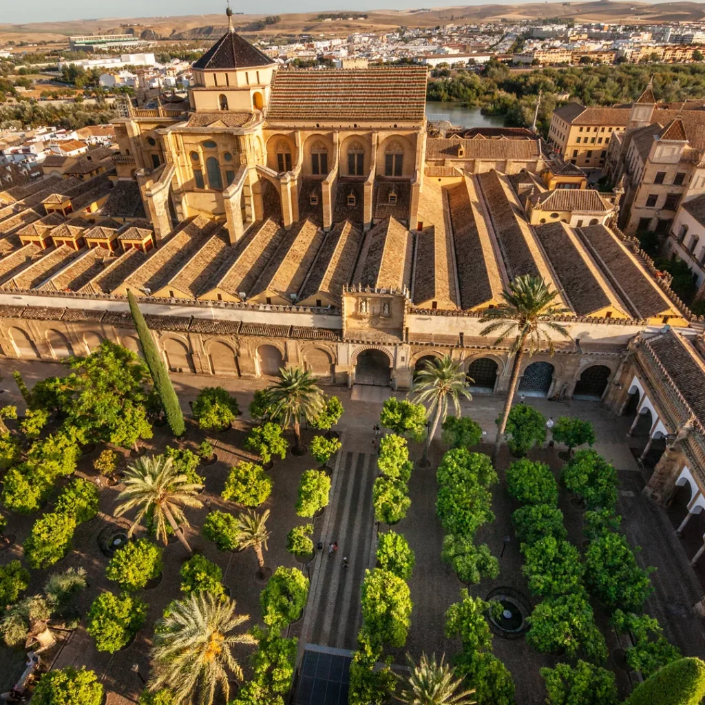 view from the bell tower, Patio de los Naranjos