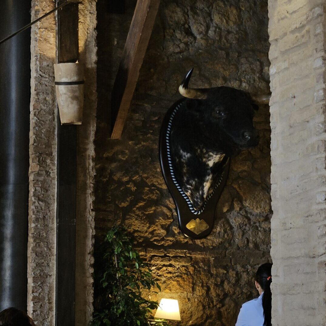 head of fighting bull in a seville restaurant