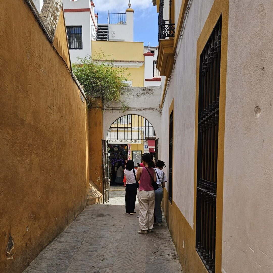 street in seville, during a tour