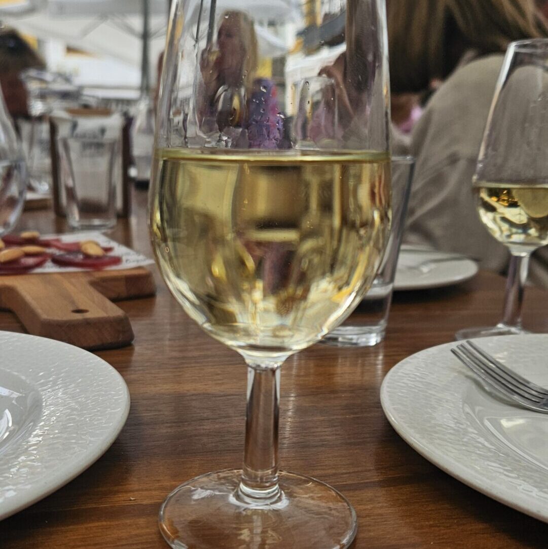 white wine Manzanilla in seville