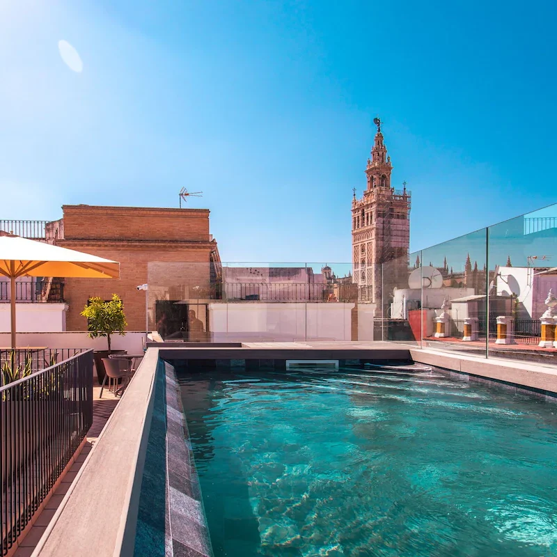 pool of the Casa Alhaja by Shiadu in seville