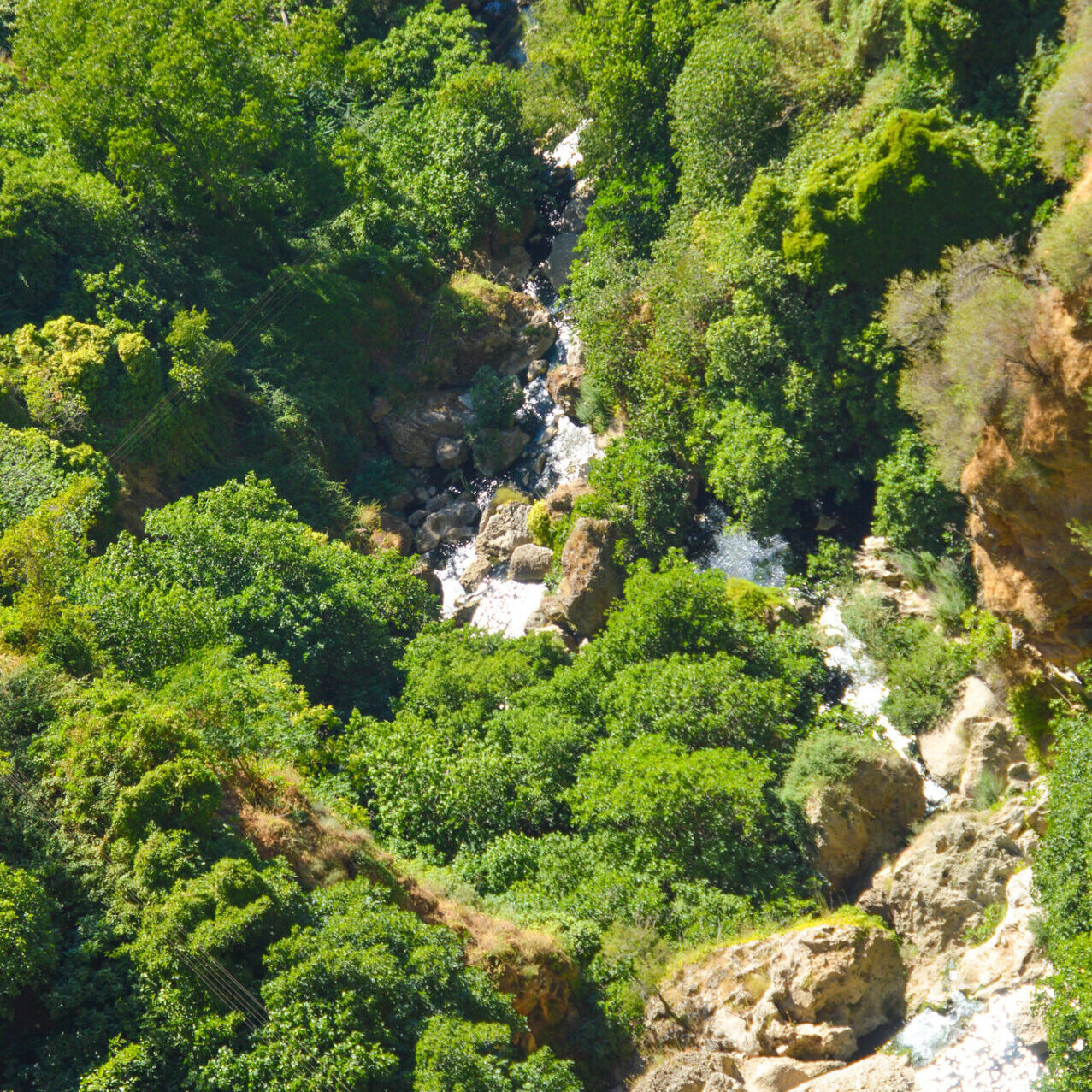 Ronda Gorge