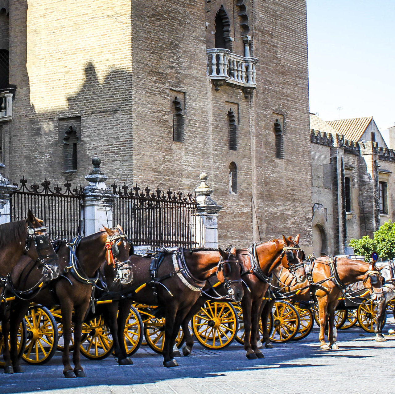 horse carriage close to the seville cathedral and giralda