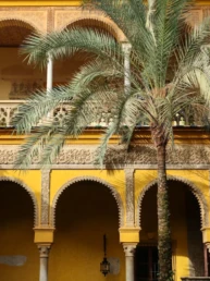 Palacio De Las Dueñas seville